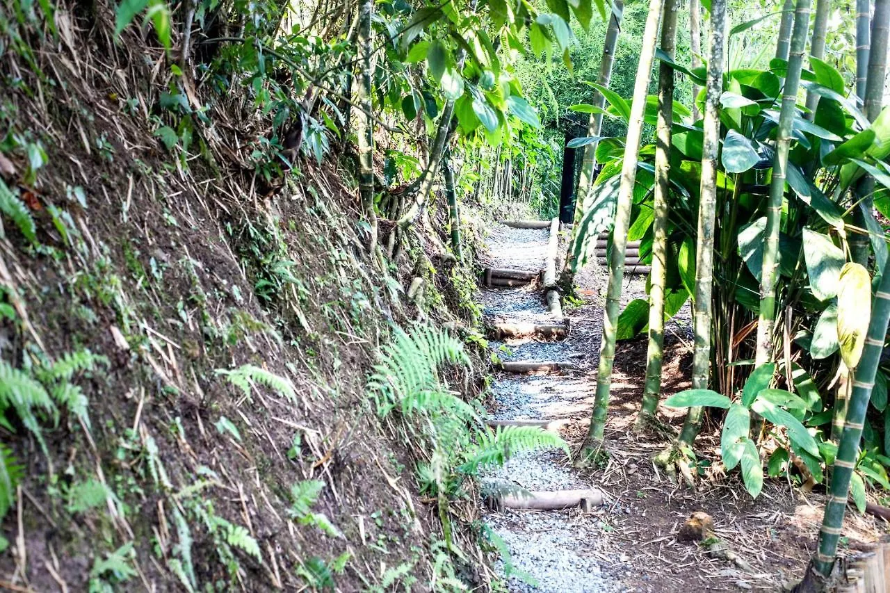 Finca Colibrí Zafiro, Altos del Rosario Cali 0*,  Colombia